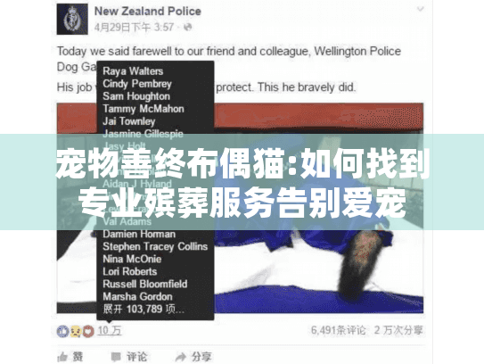 宠物善终布偶猫:如何找到专业殡葬服务告别爱宠