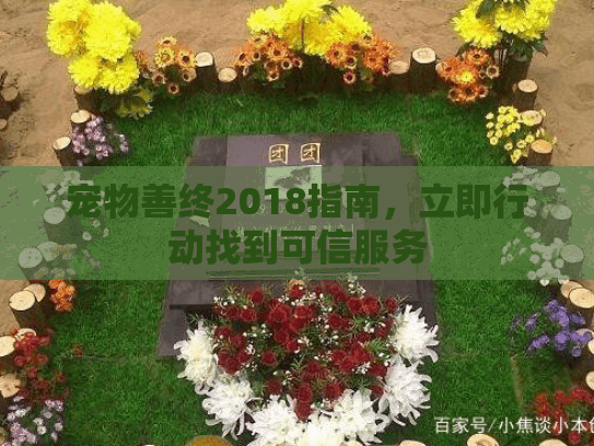 宠物善终2018指南，立即行动找到可信服务