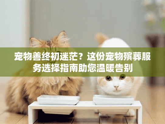 宠物善终初迷茫？这份宠物殡葬服务选择指南助您温暖告别