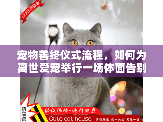 宠物善终仪式流程，如何为离世爱宠举行一场体面告别仪式的完整指南？