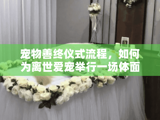 宠物善终仪式流程，如何为离世爱宠举行一场体面告别仪式的完整指南？
