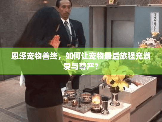 恩泽宠物善终，如何让宠物最后旅程充满爱与尊严？