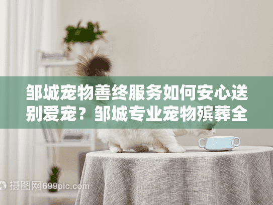 邹城宠物善终服务如何安心送别爱宠？邹城专业宠物殡葬全流程指南