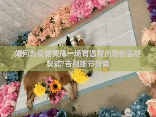 如何为爱宠安排一场有温度的宠物善终仪式?告别细节指南