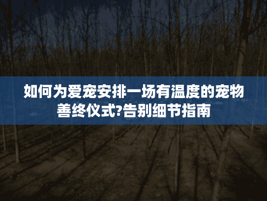 如何为爱宠安排一场有温度的宠物善终仪式?告别细节指南