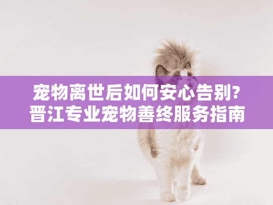 宠物离世后如何安心告别?晋江专业宠物善终服务指南