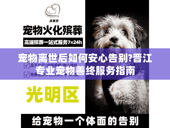 宠物离世后如何安心告别?晋江专业宠物善终服务指南