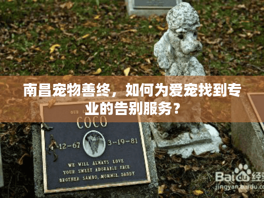 南昌宠物善终，如何为爱宠找到专业的告别服务？
