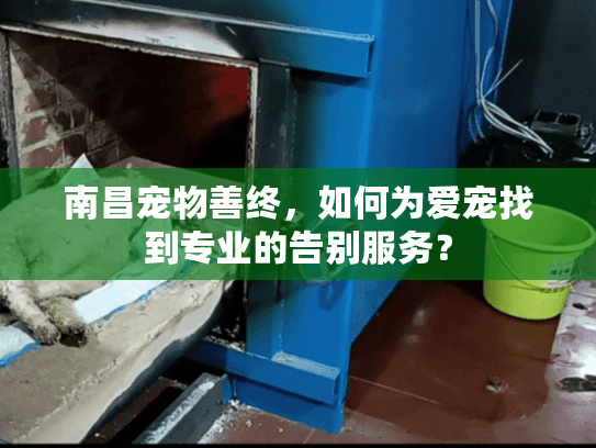南昌宠物善终，如何为爱宠找到专业的告别服务？