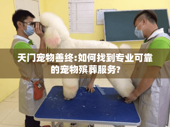 天门宠物善终:如何找到专业可靠的宠物殡葬服务?