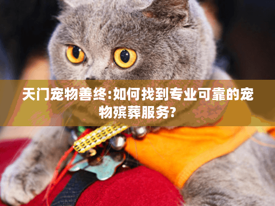 天门宠物善终:如何找到专业可靠的宠物殡葬服务?