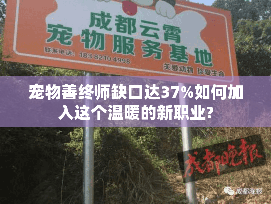 宠物善终师缺口达37%如何加入这个温暖的新职业?