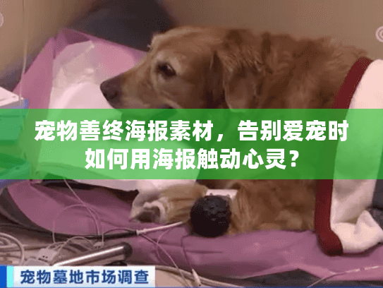 宠物善终海报素材，告别爱宠时如何用海报触动心灵？