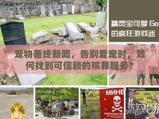 宠物善终新闻，告别爱宠时，如何找到可信赖的殡葬服务？