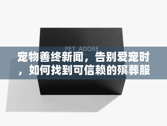 宠物善终新闻，告别爱宠时，如何找到可信赖的殡葬服务？