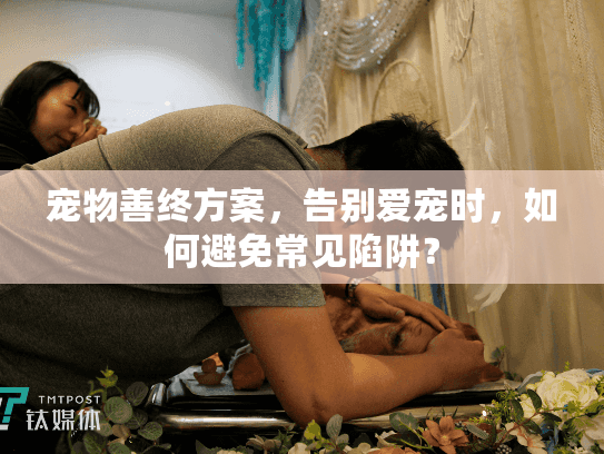 宠物善终方案，告别爱宠时，如何避免常见陷阱？