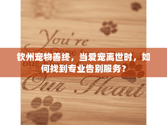 钦州宠物善终，当爱宠离世时，如何找到专业告别服务？