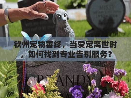 钦州宠物善终，当爱宠离世时，如何找到专业告别服务？