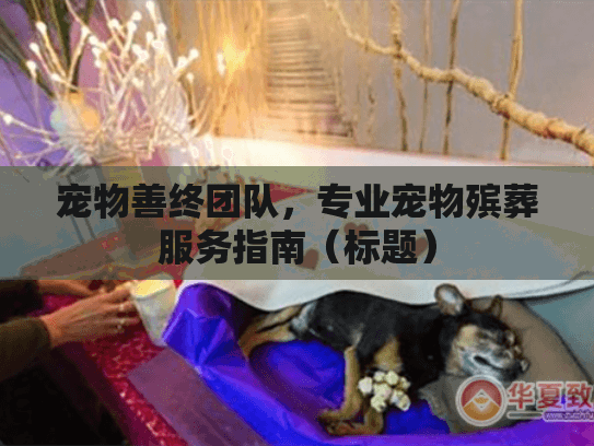 宠物善终团队，专业宠物殡葬服务指南（标题）