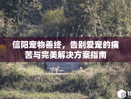 信阳宠物善终，告别爱宠的痛苦与完美解决方案指南