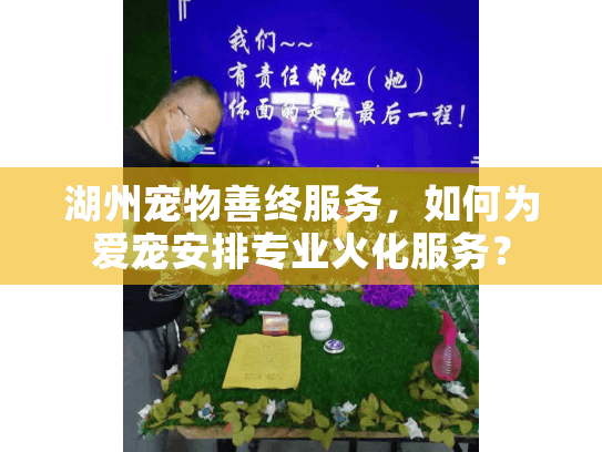 湖州宠物善终服务，如何为爱宠安排专业火化服务？