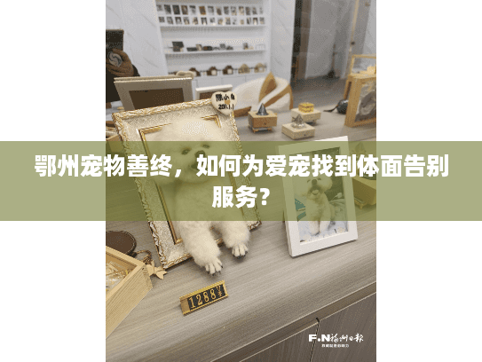 鄂州宠物善终，如何为爱宠找到体面告别服务？