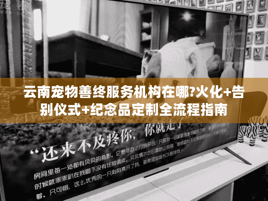 云南宠物善终服务机构在哪?火化+告别仪式+纪念品定制全流程指南