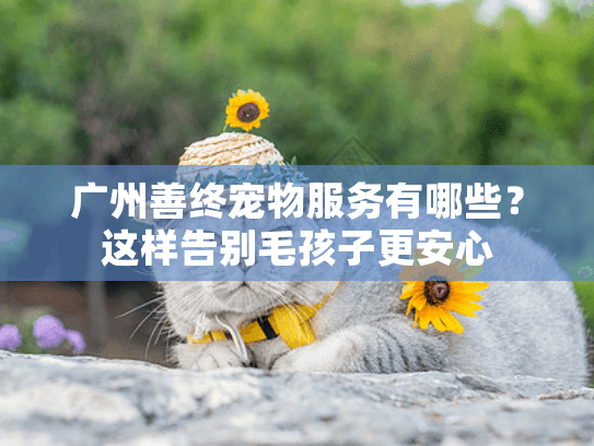 广州善终宠物服务有哪些？这样告别毛孩子更安心