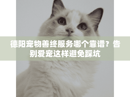 德阳宠物善终服务哪个靠谱？告别爱宠这样避免踩坑