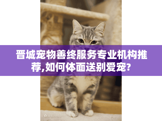 晋城宠物善终服务专业机构推荐,如何体面送别爱宠?