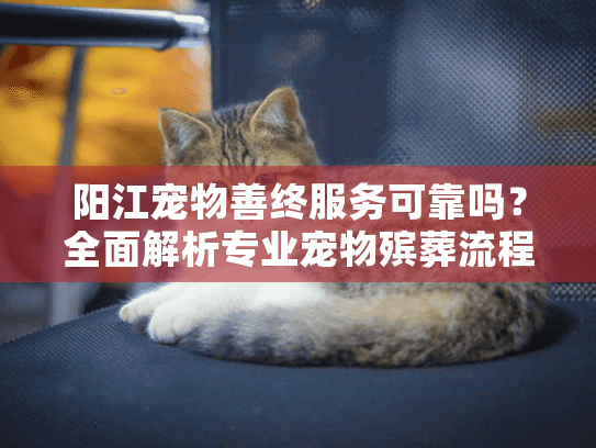 阳江宠物善终服务可靠吗？全面解析专业宠物殡葬流程