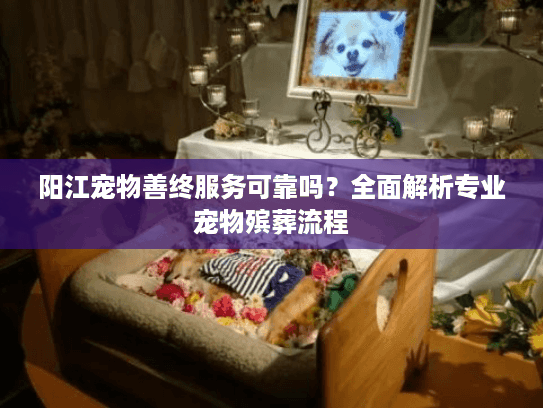 阳江宠物善终服务可靠吗？全面解析专业宠物殡葬流程