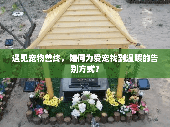 遇见宠物善终，如何为爱宠找到温暖的告别方式？
