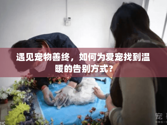 遇见宠物善终，如何为爱宠找到温暖的告别方式？