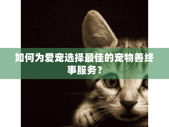 如何为爱宠选择最佳的宠物善终事服务？