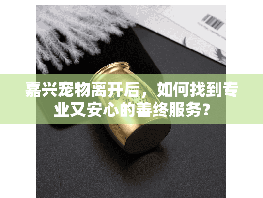 嘉兴宠物离开后，如何找到专业又安心的善终服务？