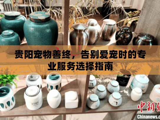 贵阳宠物善终，告别爱宠时的专业服务选择指南