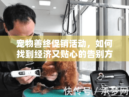 宠物善终促销活动，如何找到经济又贴心的告别方案？