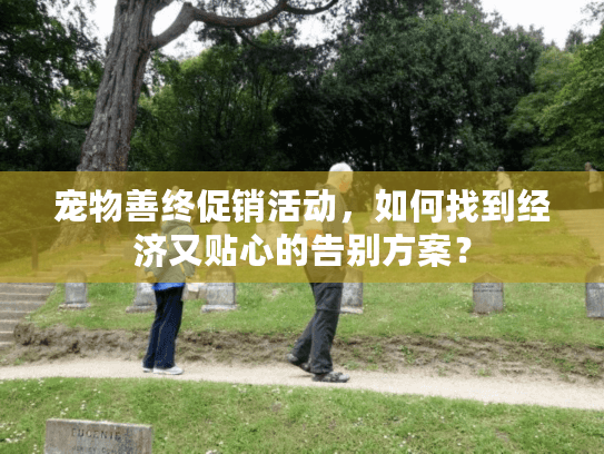 宠物善终促销活动，如何找到经济又贴心的告别方案？