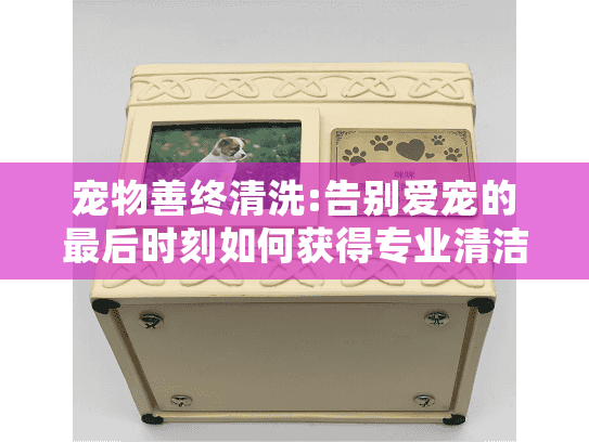 宠物善终清洗:告别爱宠的最后时刻如何获得专业清洁服务?