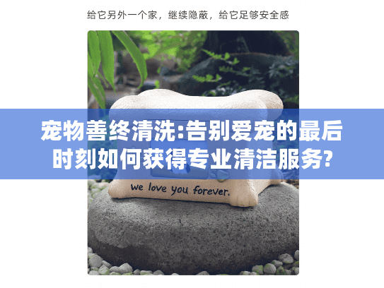 宠物善终清洗:告别爱宠的最后时刻如何获得专业清洁服务?