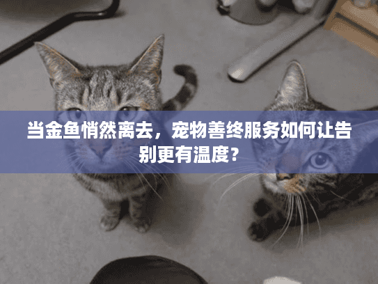 当金鱼悄然离去，宠物善终服务如何让告别更有温度？