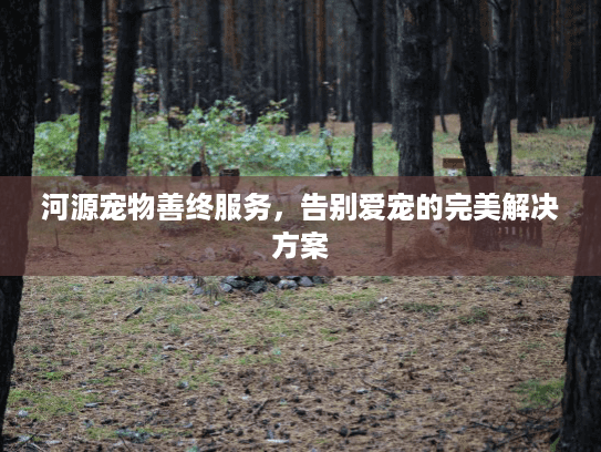 河源宠物善终服务，告别爱宠的完美解决方案