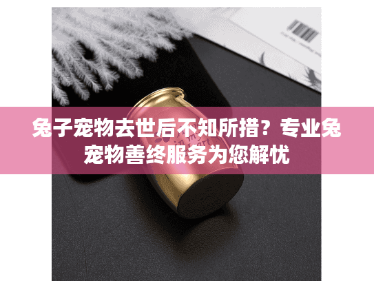 兔子宠物去世后不知所措？专业兔宠物善终服务为您解忧