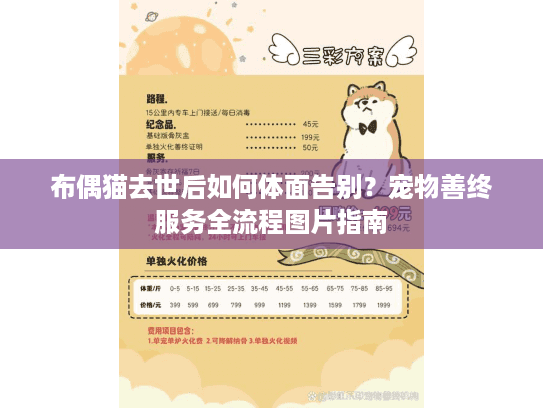 布偶猫去世后如何体面告别？宠物善终服务全流程图片指南
