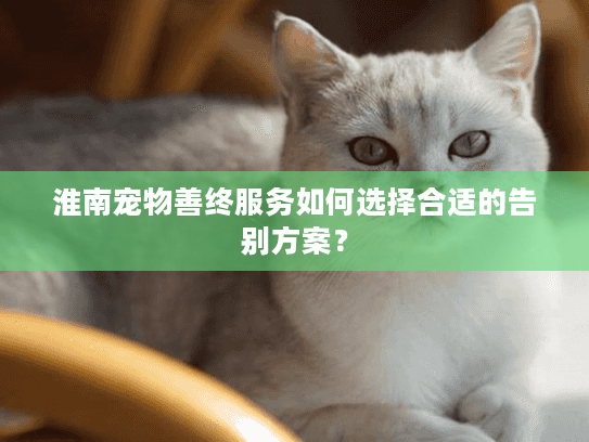 淮南宠物善终服务如何选择合适的告别方案？