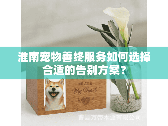 淮南宠物善终服务如何选择合适的告别方案？