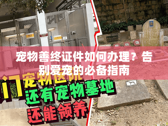 宠物善终证件如何办理？告别爱宠的必备指南