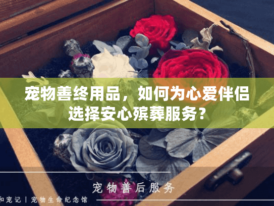 宠物善终用品，如何为心爱伴侣选择安心殡葬服务？