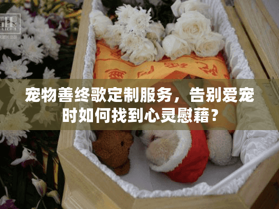 宠物善终歌定制服务，告别爱宠时如何找到心灵慰藉？